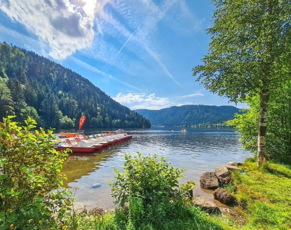 Gite Spa "La Foret Argentee" Proche Gerardmer Laveline-du-Houx Zewnętrze zdjęcie
