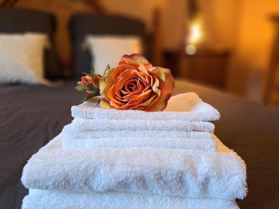 Gite Spa "La Foret Argentee" Proche Gerardmer Laveline-du-Houx Zewnętrze zdjęcie