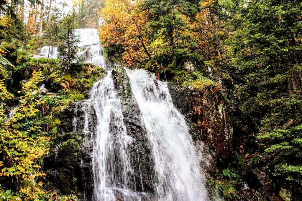 Gite Spa "La Foret Argentee" Proche Gerardmer Laveline-du-Houx Zewnętrze zdjęcie